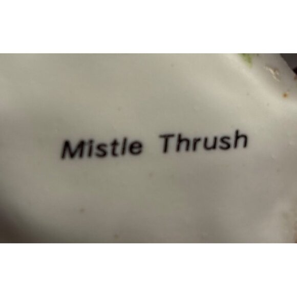 Mistle Thrush Bird Figurine by Maruri Lovely 5 inch READ - Picture 6 of 7